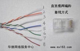 局域网内用交换机网线该怎么做
